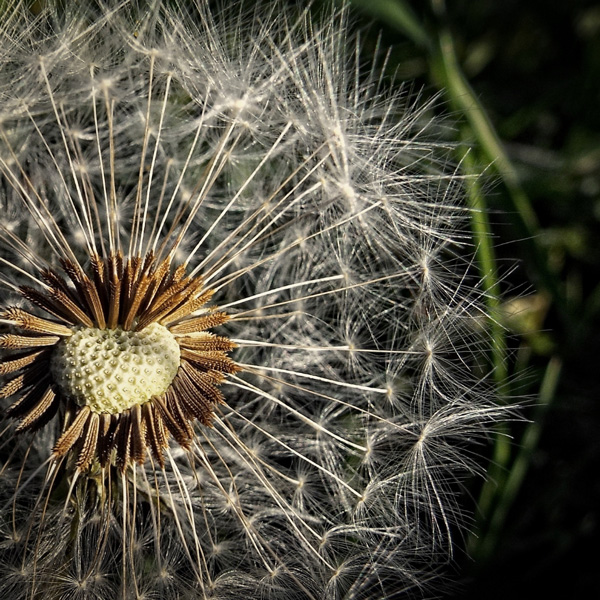 Learn how to avoid pollen to invading your house